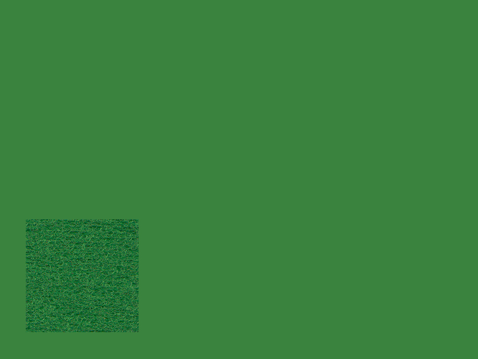 zoom colori MAILLE III M1 paririe, vert